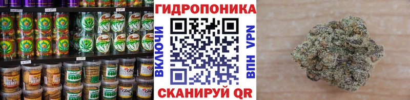 где продают наркотики  Благодарный  omg ссылка  Еда ТГК марихуана 